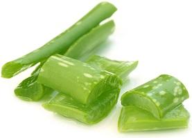 photo-of-fresh-aloe-vera-leaf-and-gel.jpg