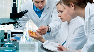 photo-of-medical-professionals24_951.png