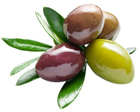 olives.jpg