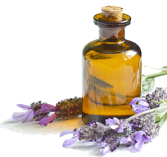 photo-of-lavender-and-oil.png