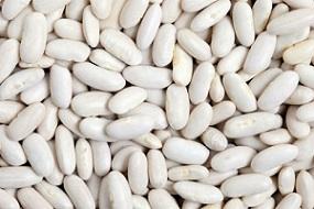 photo-of-white-kidney-beans.jpg