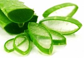 fresh-slice-of-aloe-vera-leaves.jpg