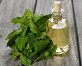 peppermint-leaf-and-oil.jpg