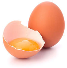 egg-yolk73_283.jpg