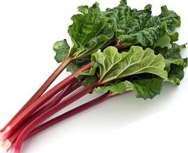 photo-of-fresh-rhubarb.jpg