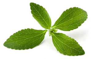 stevia-plant.jpg