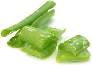 photo-of-aloe-vera-leaves.jpg