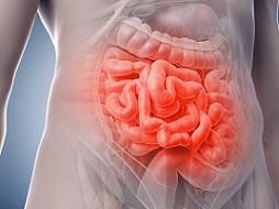 photo-of-inside-the-stomach-healthy-digestion.jpg