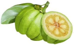 garcinia-fruit.jpg