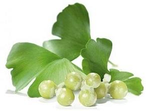 photo-of-ginkgo-biloba.jpg