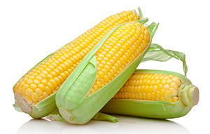 corn.jpg