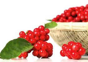 schizandra-berries.jpg