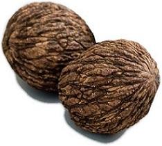 photo-of-black-walnut.jpg