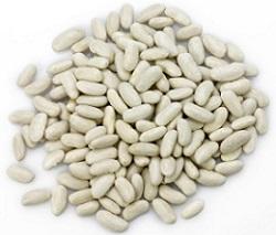 photo-of-fresh-white-kidney-beans.jpg