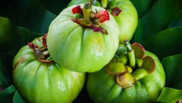 HCA Garcinia Cambogia - What Is It?