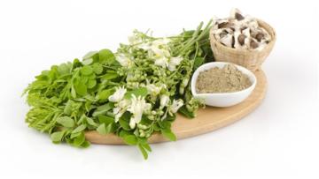 Boost Your Health With The Power Of Moringa