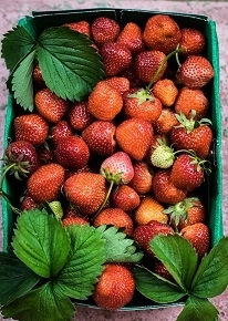 Photo of Fresh Strawberries