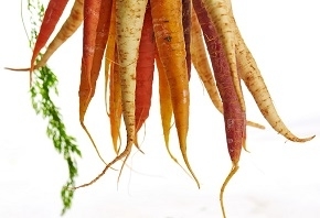 Photo of Fresh Carrots