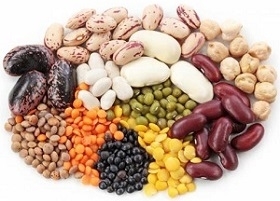 Different Kind of Legumes and Beans