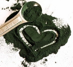 Photo of Spirulina Powder