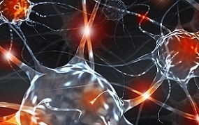 Photo of Neurotransmitters