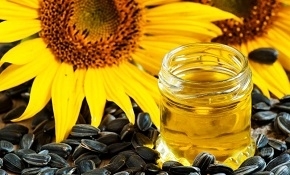 Photo of Sunflower Oil