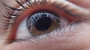 Photo of Eye