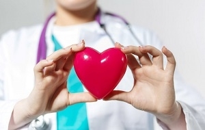 Doctor Holding Heart Figure
