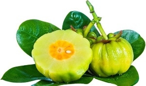 Photo of Garcinia Cambogia Fruit
