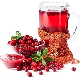 Fresh Cranberries and Juice