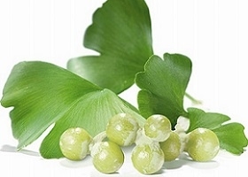 Ginkgo Biloba for Brain Health