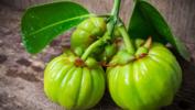 What's The Hype With Garcinia Cambogia?